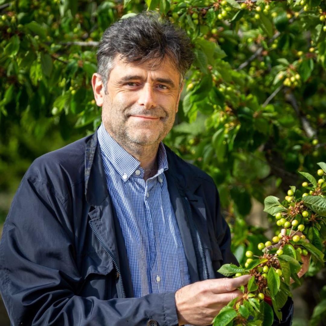 GIÀ PRONTO IL BANDO PER IL PROGRAMMA FRUTTA E VERDURA NELLE SCUOLE